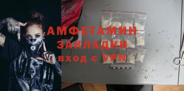 гидра Абаза
