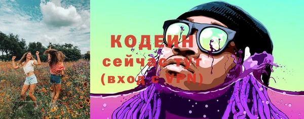 гидра Абаза
