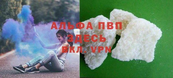 гидра Абаза